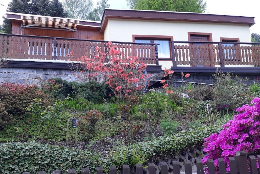 Bungalow Bluehende Oase Sebnitz Exterior foto